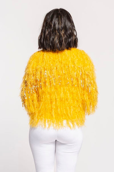 Mandy Sequin Glitter Shaggy Sweater